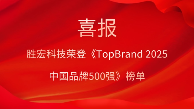 bg视讯科技登榜《TopBrand 2025中国品牌500强》榜单